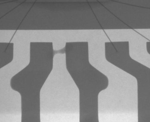 X-ray image of die attach material shorting two adjacent lead frame pins